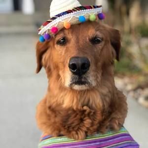 Meet your Posher, Heidi